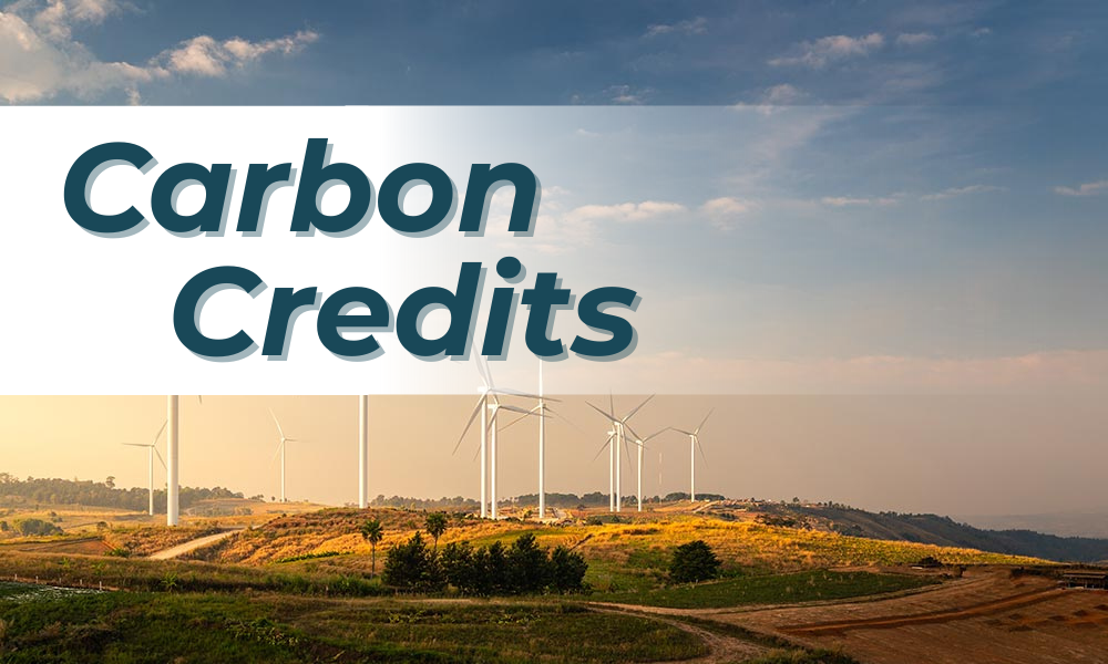 Development and procurement of carbon credits