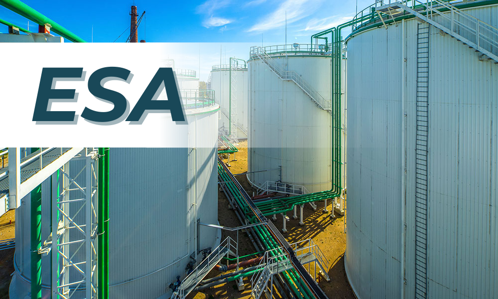 Environmental Site Assessment (ESA)