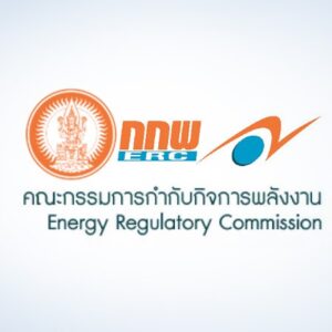 Public Hearing on the “Principles of ERC Solar for Citizens”
